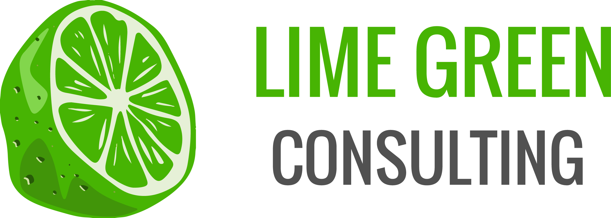 Lime Green Consulting logo