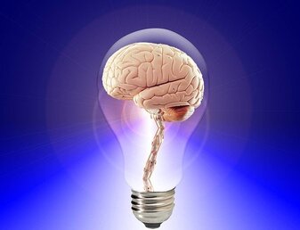 Human brain in a glowing lightbulb