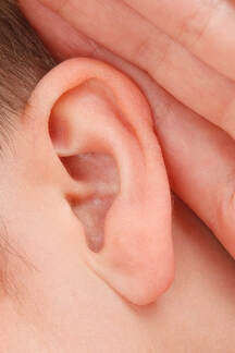 Close-up of human ear