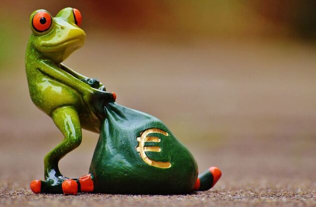 A green frog with red eyes dragging a large, heavy bag of money across the ground. The bag has the euro currency sign on it and is clearly heavy, as the frog is struggling and straining to carry it